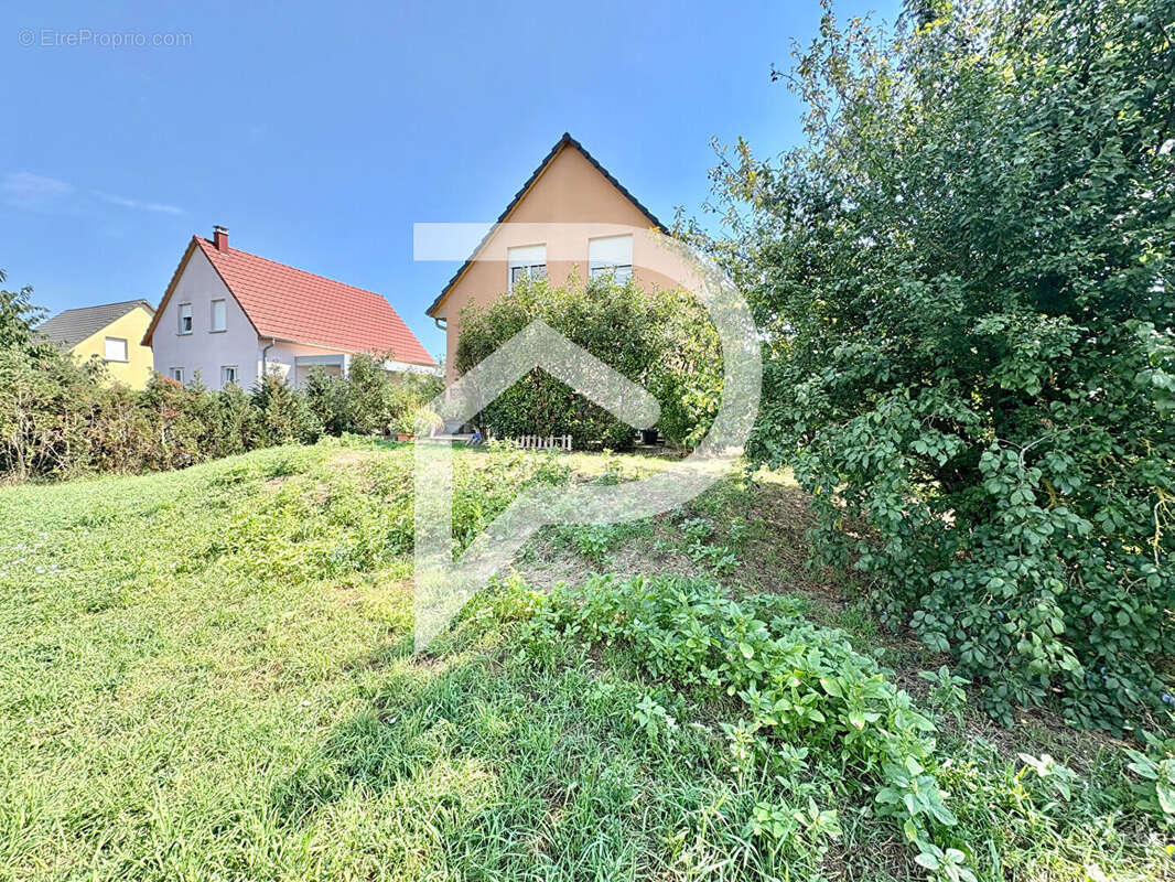 Maison à NIEDERENTZEN