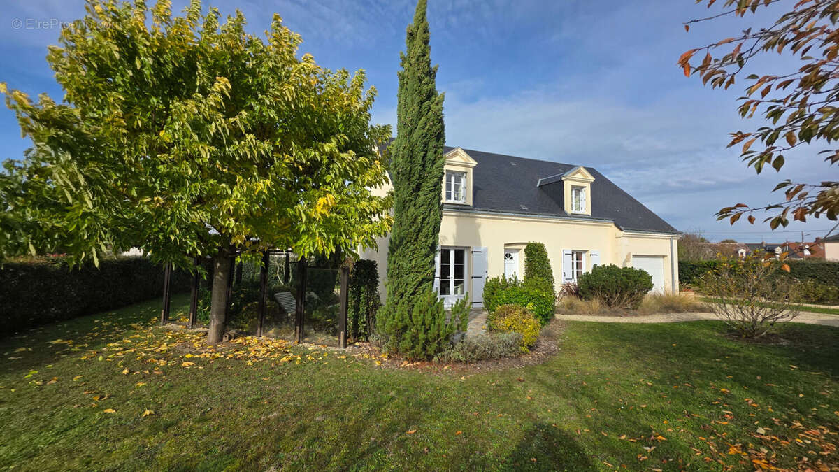 Maison à BALLAN-MIRE