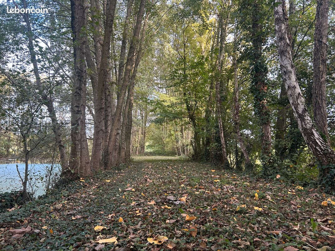 superbe étang - photo 3