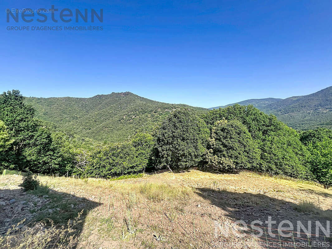 Mas cévenol de caractère avec 22 hectares, pierre sèche et vues panoramiques ? Saint Germain de Calberte - photo 16