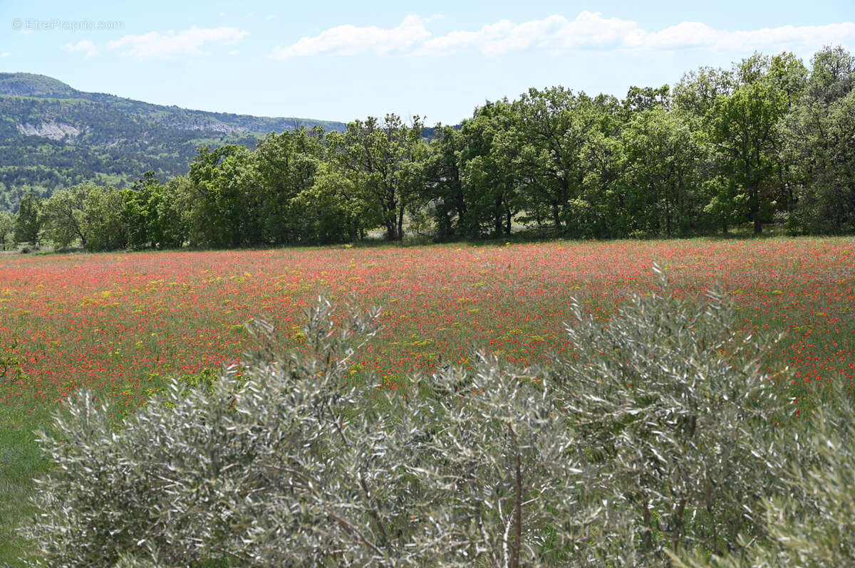 Maison à FORCALQUIER
