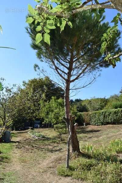 Maison à PAYRIN-AUGMONTEL