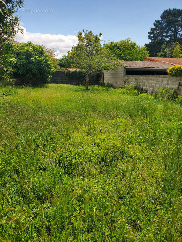 Terrain à SAINT-PALAIS-SUR-MER