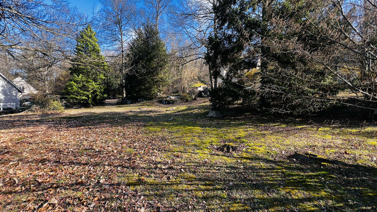 Terrain à BOUTIGNY-SUR-ESSONNE