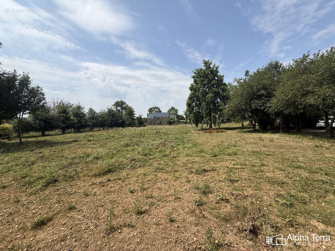 Terrain 5275 m² à Tilly-Sur-Seulles  - photo 2