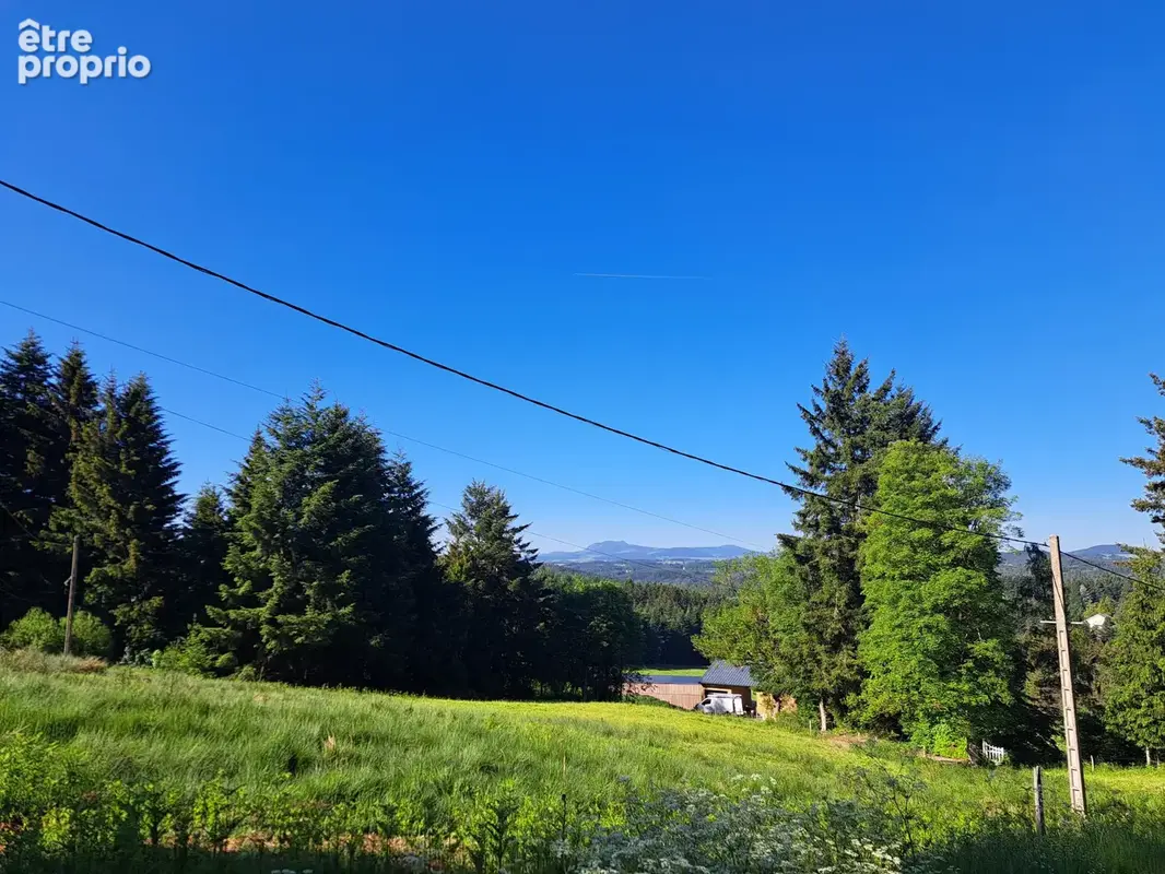 Ancienne ferme/pension de famille en pierre sur plus d'1 hectare de terrain - photo 3