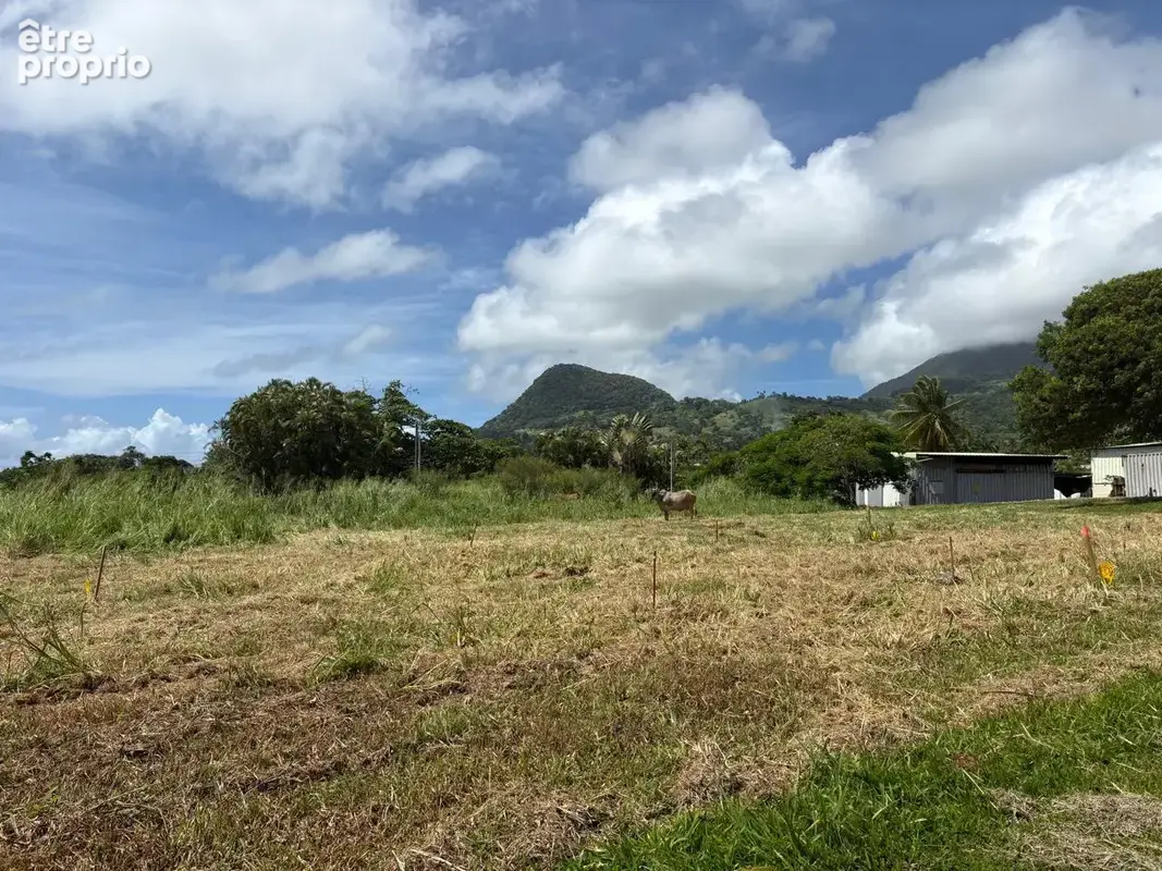 Terrains à bâtir avec vue dégagée sur la montagne et la mer - photo 6