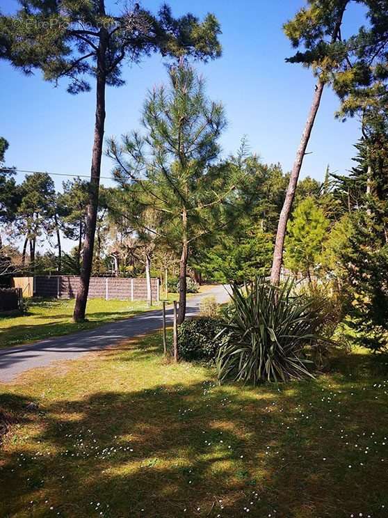 Maison à SAINT-HILAIRE-DE-RIEZ