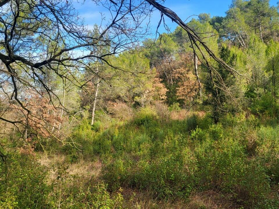 Terrain à BRIGNOLES