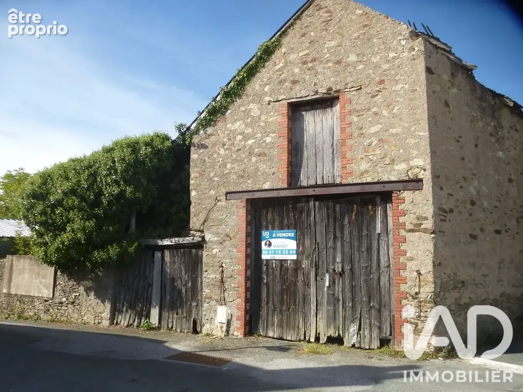 Photo 1 - Maison à CHAMPTOCE-SUR-LOIRE