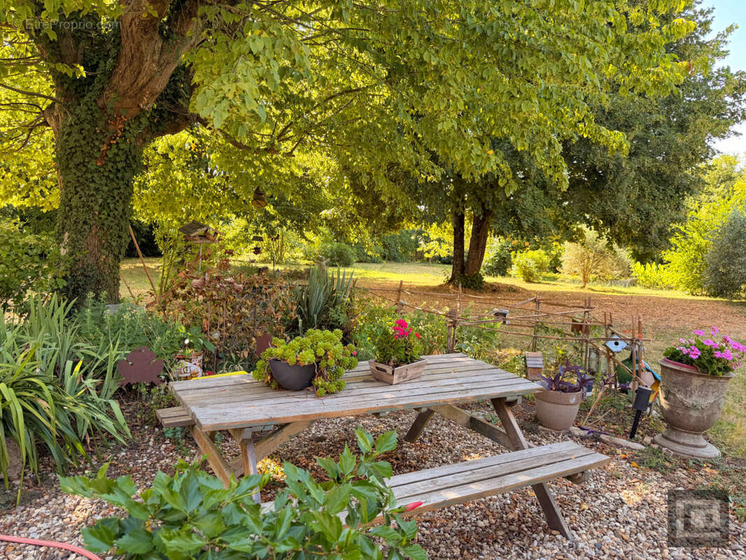 LE JARDIN DU TULIPIER- Une maison Bourguignonne & son jardin bucolique - photo 3