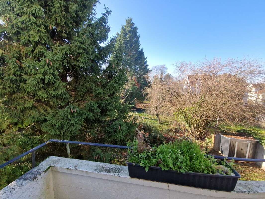 Appartement à SARREGUEMINES