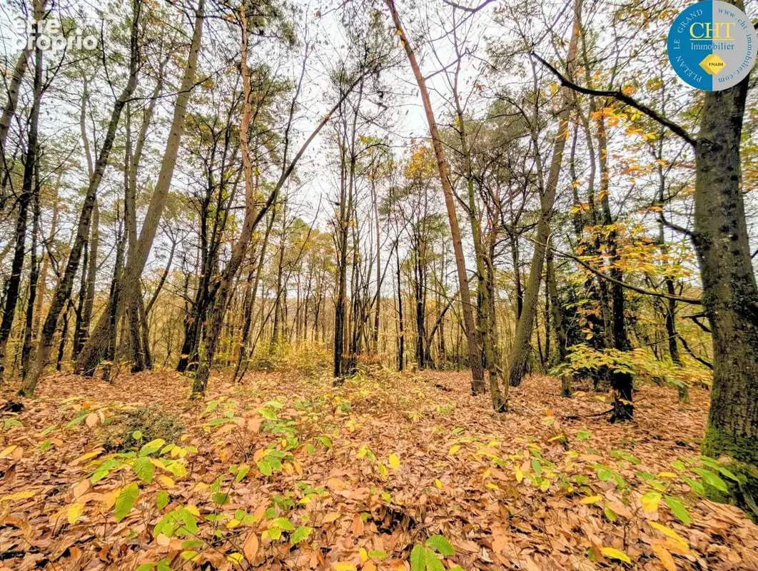 Magnifique terrain boisé de 720 m2 à saint malo de beignon (56380) avec cht immobilier - photo 7