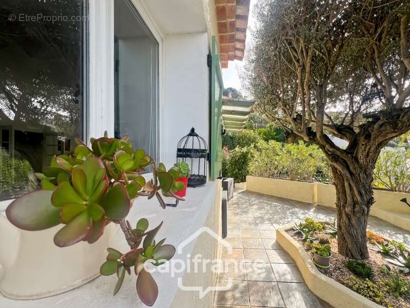 Maison à LE LAVANDOU