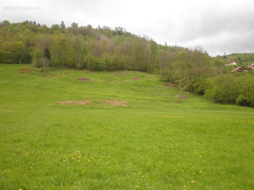 Terrain à LA BRESSE