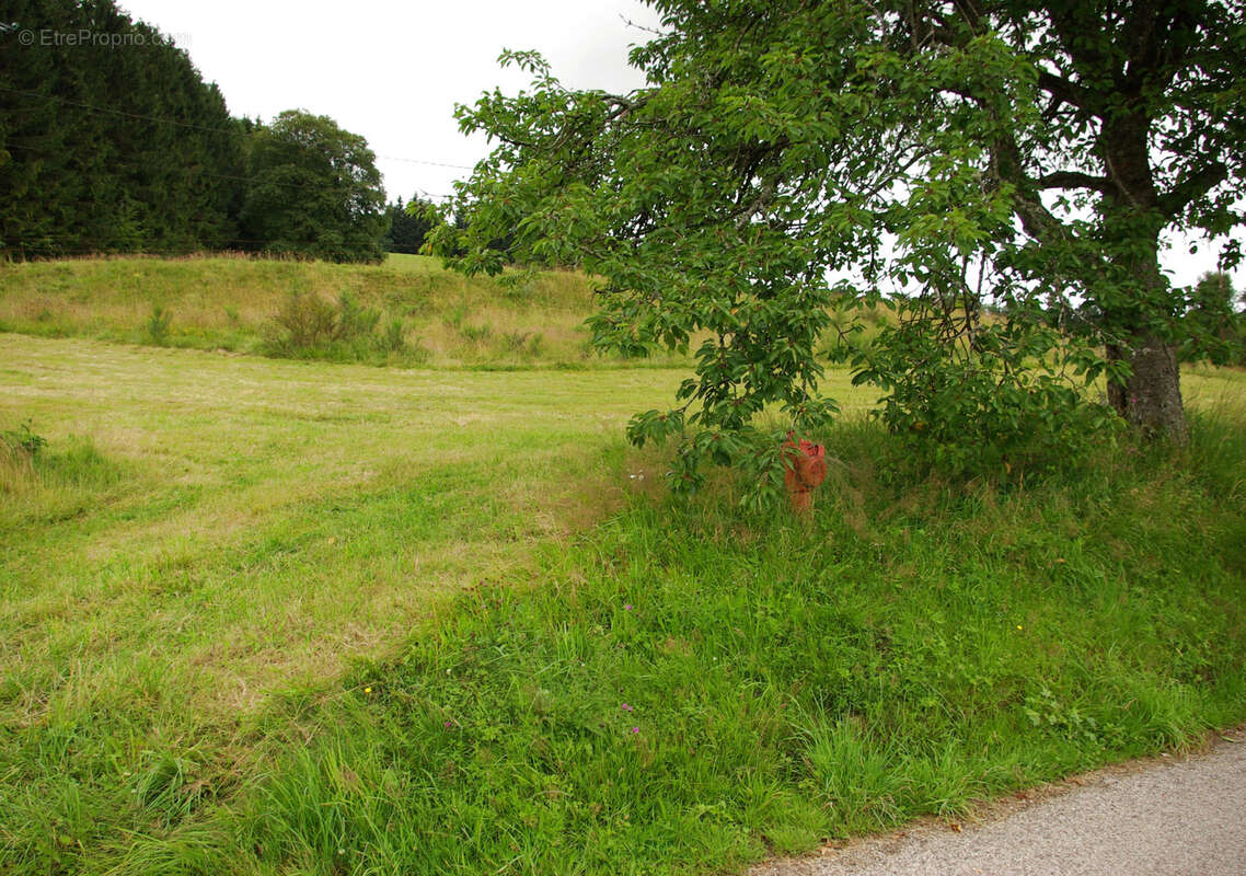 Terrain à REMIREMONT