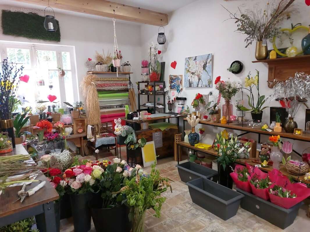 Commerce à LA ROQUE-D'ANTHERON