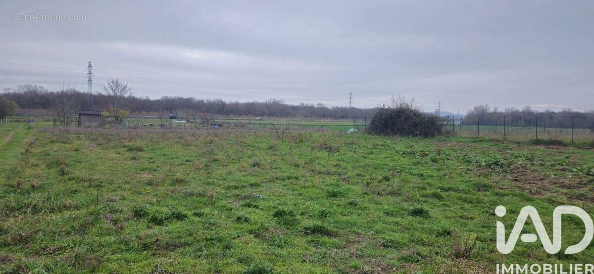 Photo 1 - Terrain à MURET