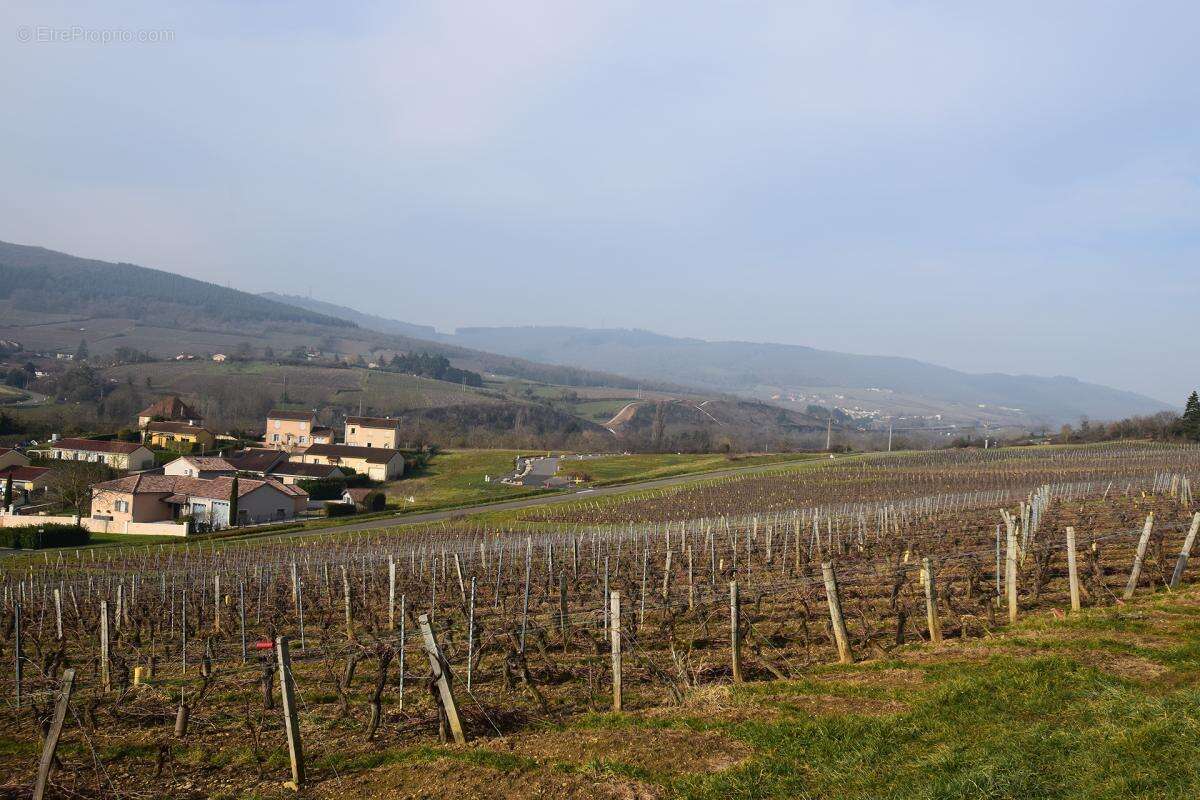 Terrain à BERZE-LA-VILLE