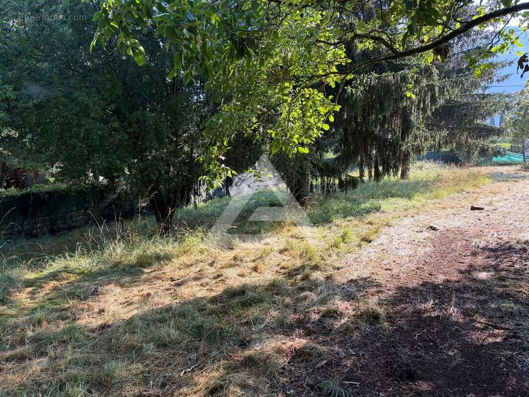 Terrain à SOSPEL