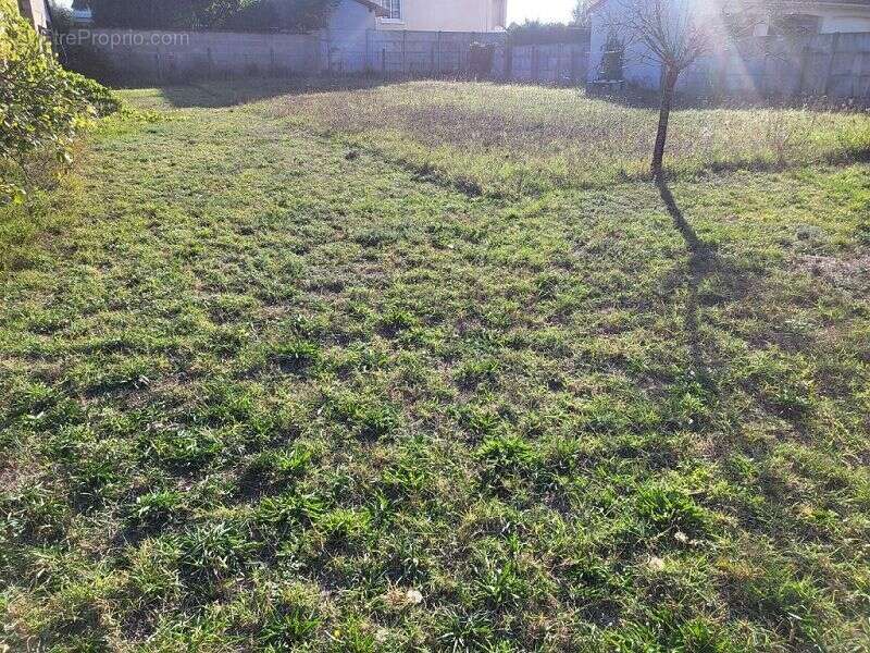 Terrain à MONTROND-LES-BAINS