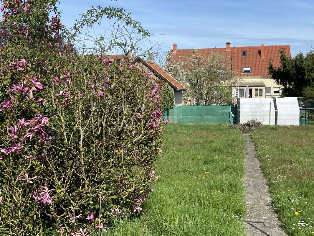 Appartement à SARREGUEMINES