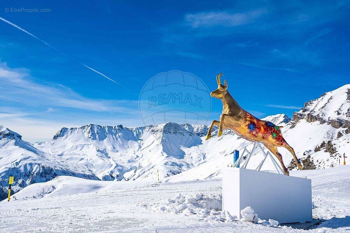 Appartement à SAINT-ETIENNE-DE-TINEE