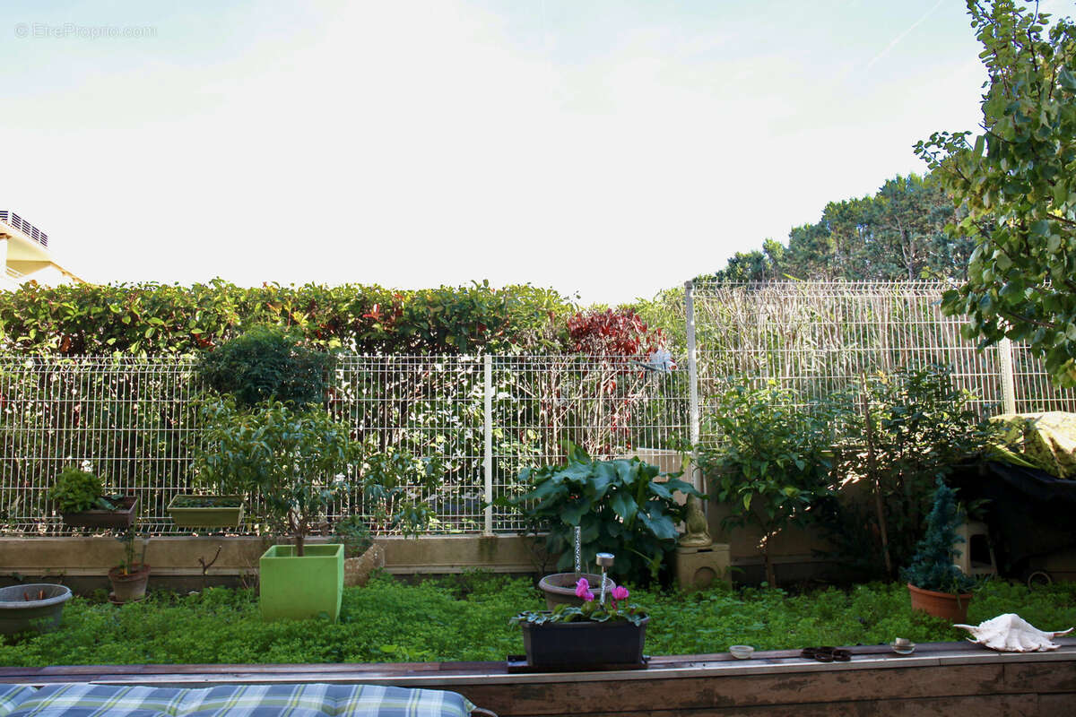 Appartement à MARSEILLE-8E