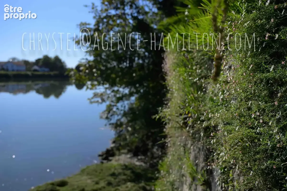 Sur les rives du Gave, 550 m² d'histoire réinventée, prêts à porter votre projet. - photo 7