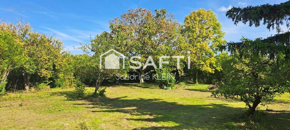 Photo 6 - Maison à CHATEAU-LANDON