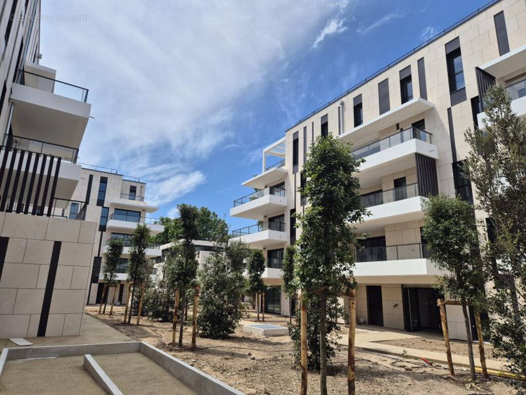 Commerce à MARSEILLE-8E