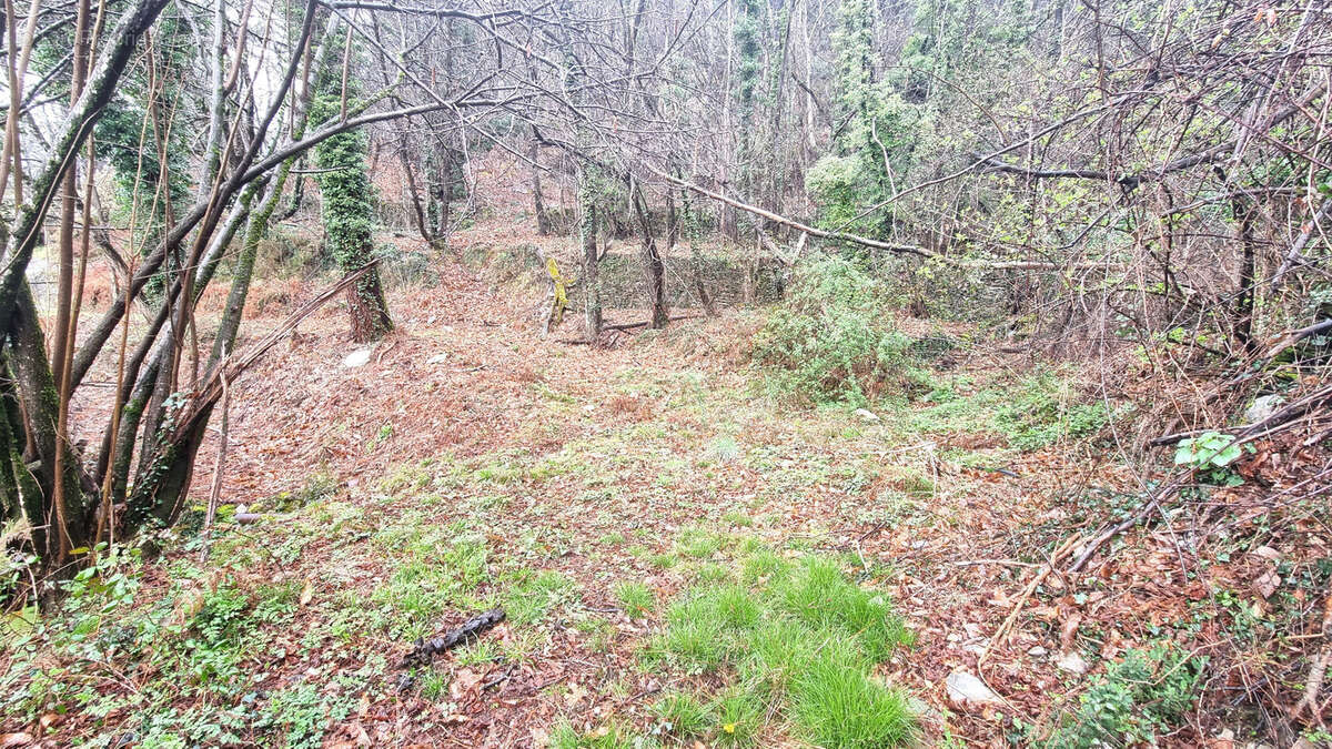 Terrain à vendre  LE COLLET DE DEZE (48) - photo 8