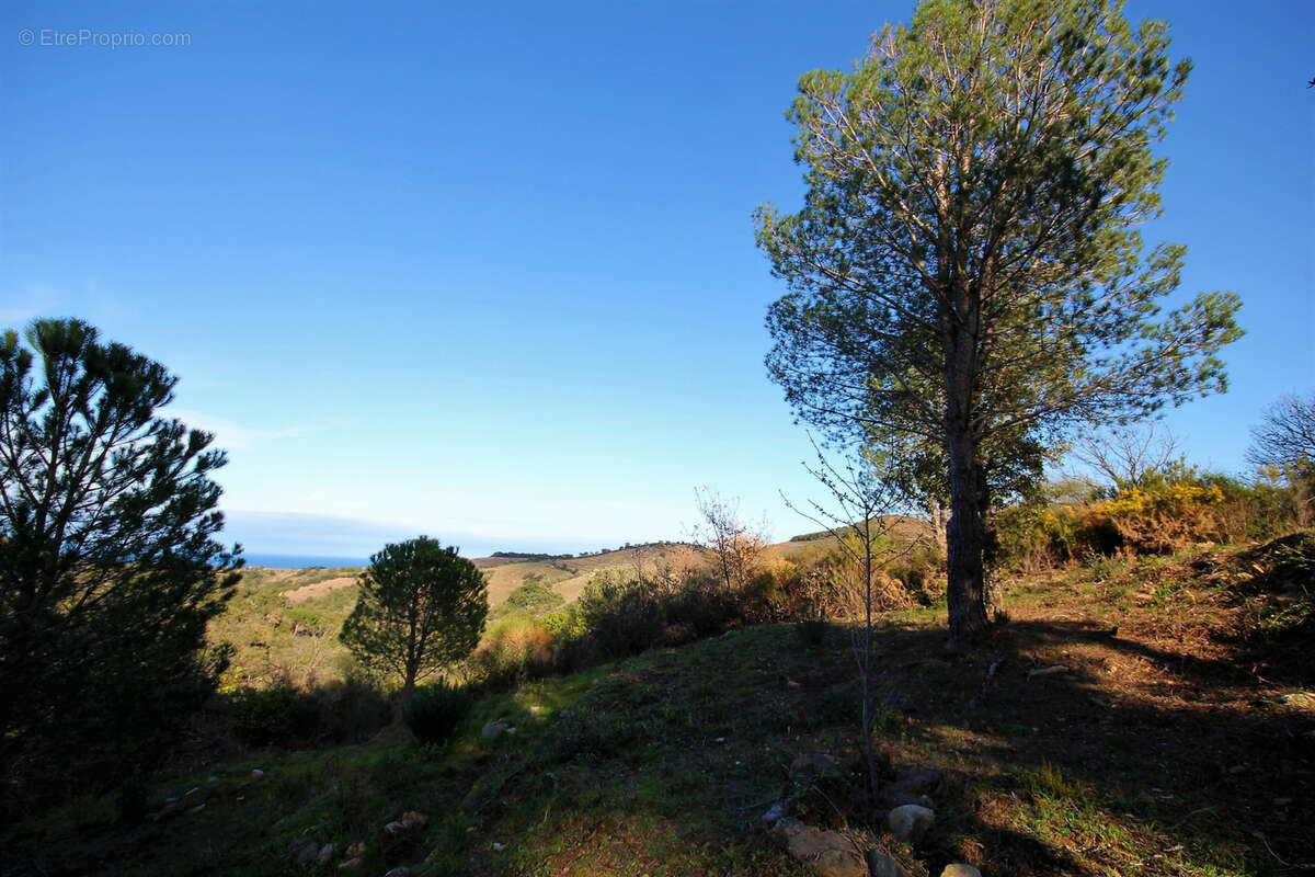 Terrain à ARGELES-SUR-MER