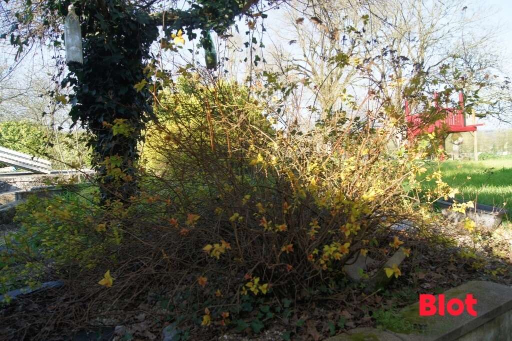 Maison à BAIN-DE-BRETAGNE