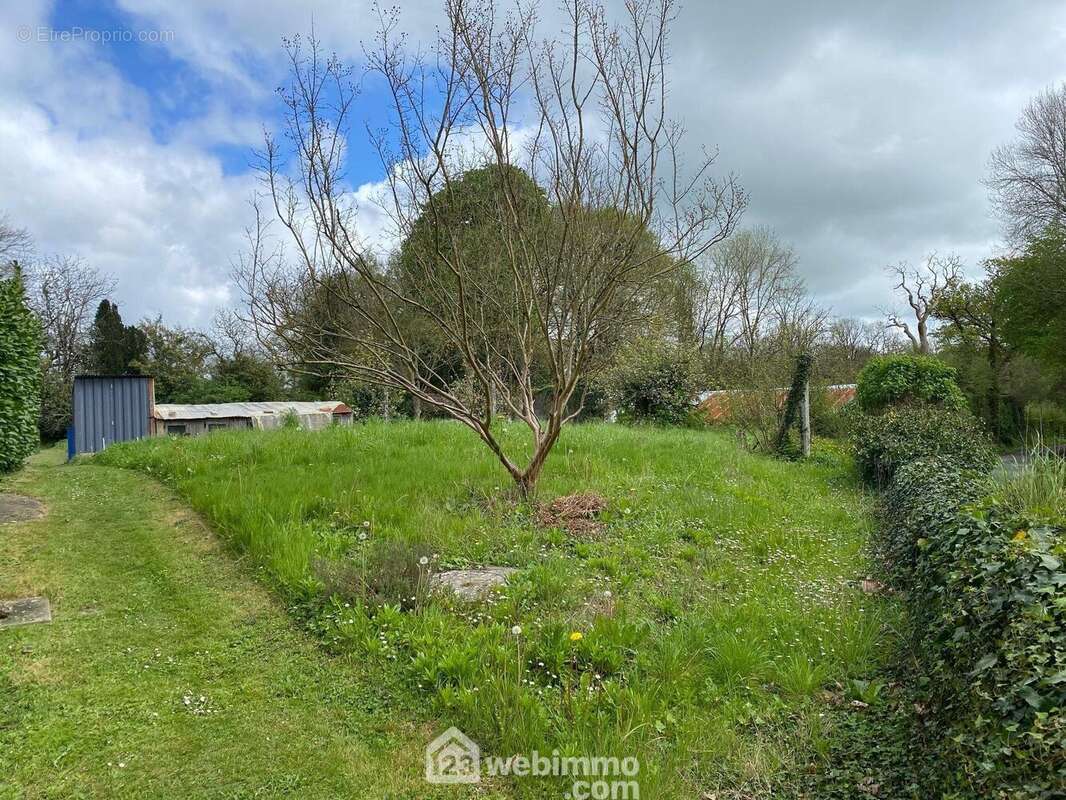 Terrain 1100 m² à Reaumur  - photo 29