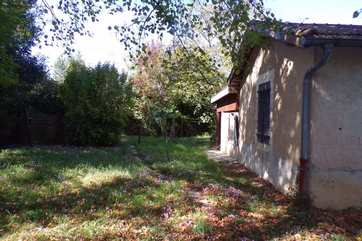 Maison 80 m² à Auch  - photo 7