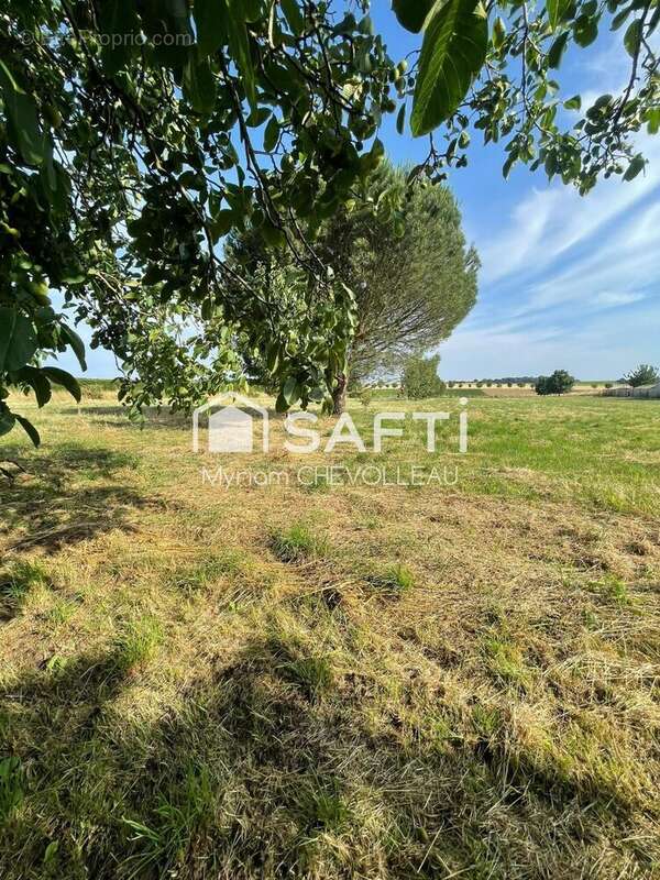 Photo 9 - Maison à AUZAY