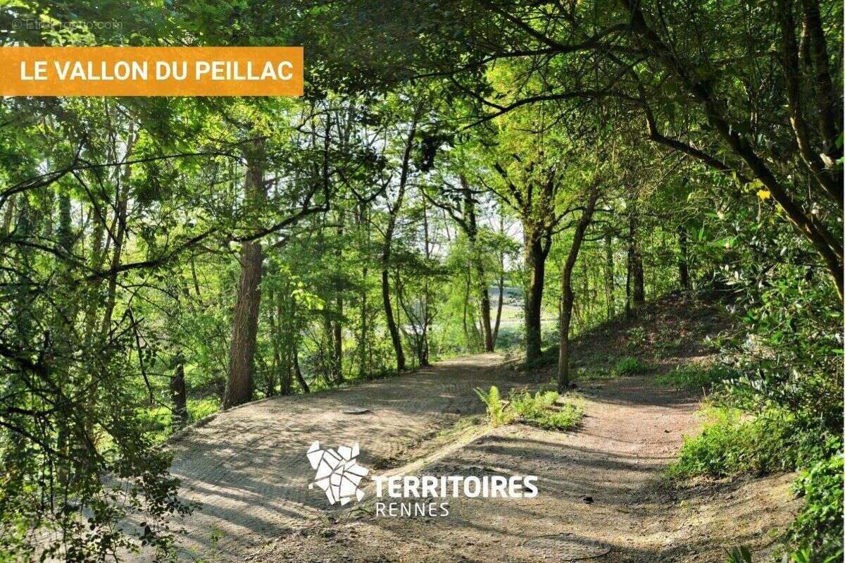 Terrain à VERN-SUR-SEICHE