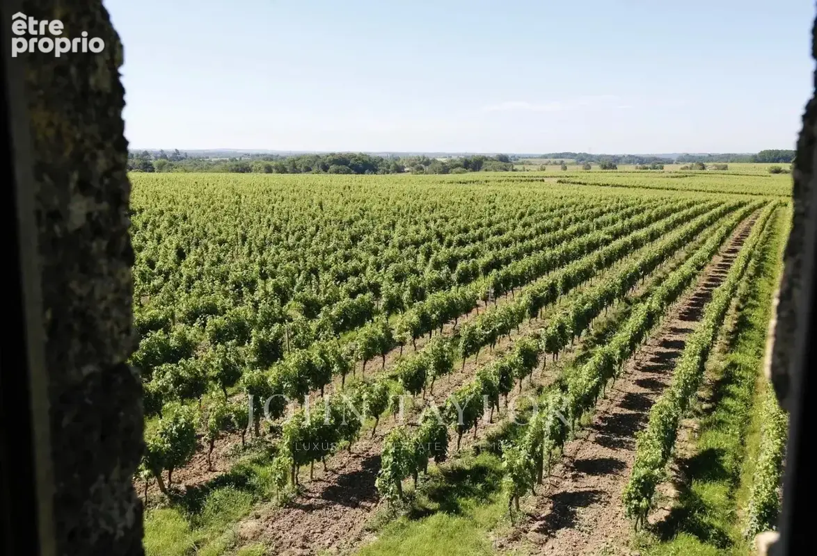 Domaine viticole biologique de 30 hectares – à 10 minutes de saint-émilion - photo 4