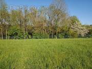 Terrain à CHAMPNIERS