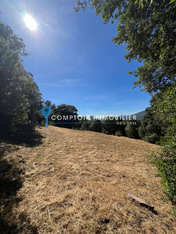Maison 244m2 avec vue mer - photo 2