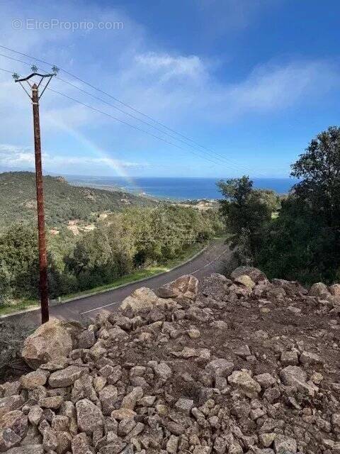 Terrain à SARI-SOLENZARA