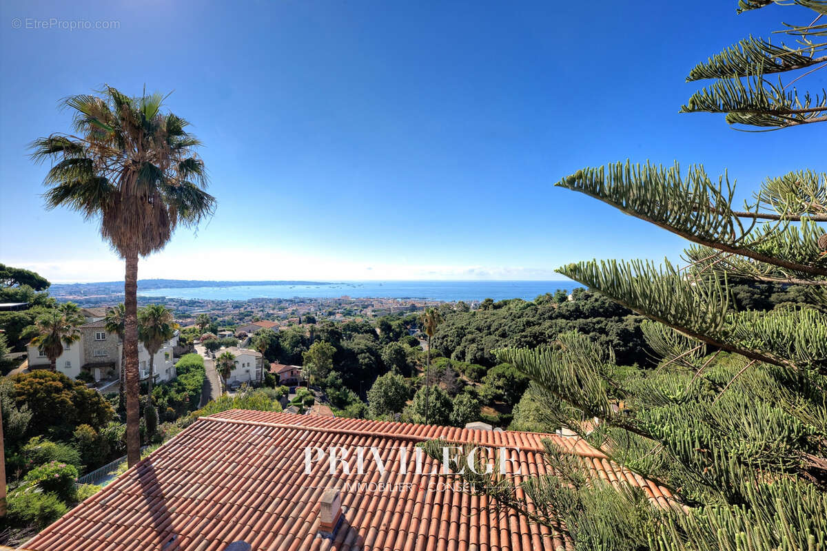 Golfe-Juan — Appartement de 120 m2 avec terrasse plein sud de 65 m2 - photo 23