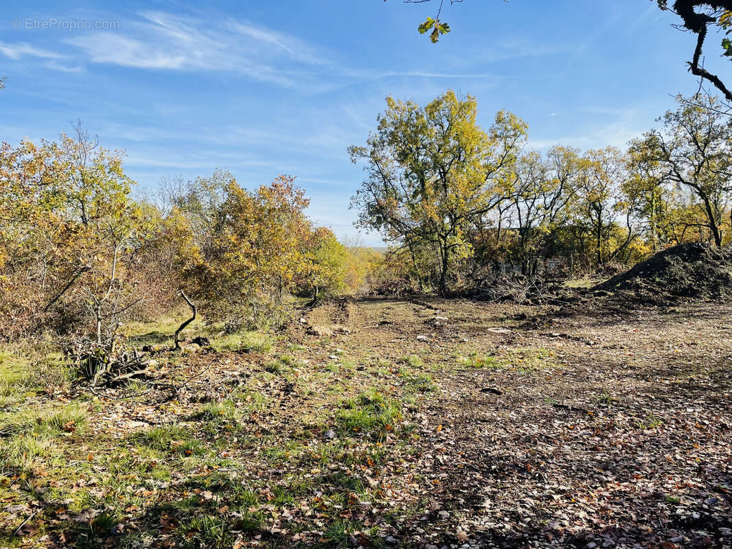 Terrain à SAINT-CERNIN-DE-LARCHE