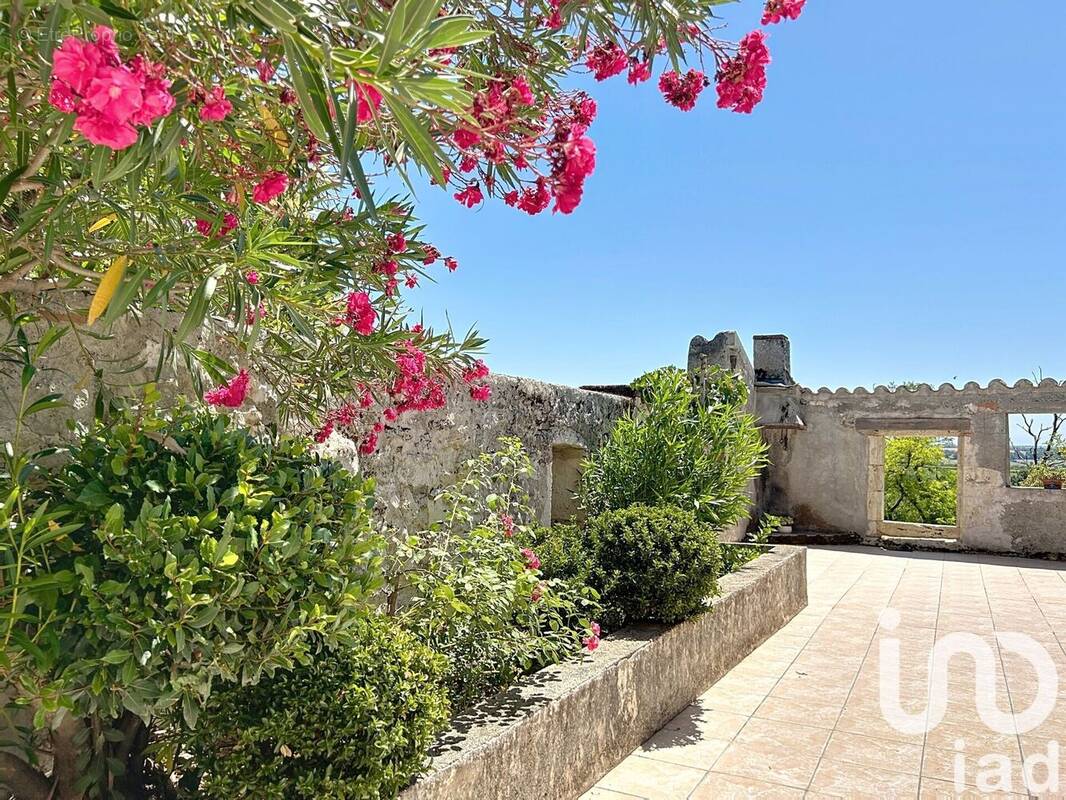 Photo 1 - Maison à SAINT-CLAR