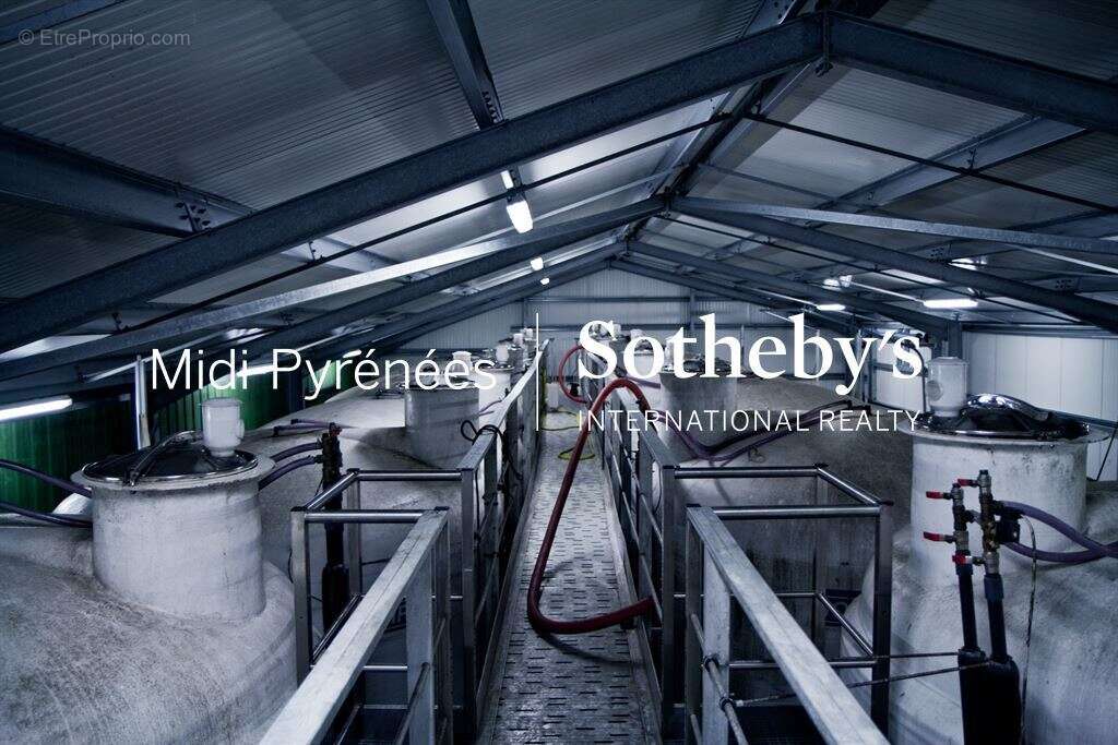 Maison à MAULEON-D'ARMAGNAC