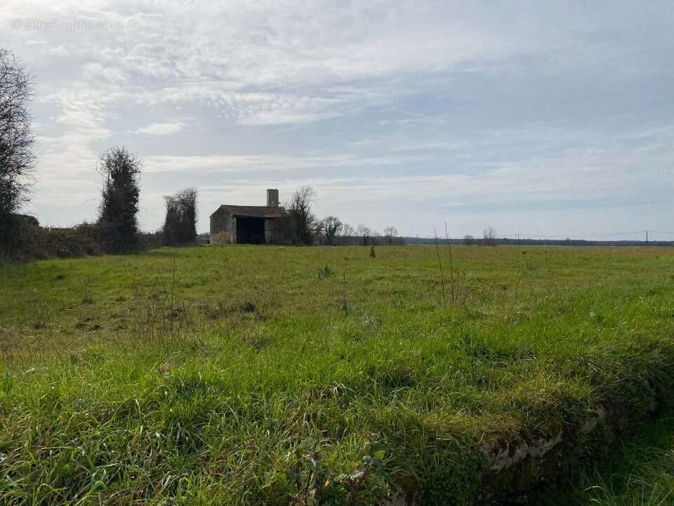 Terrain 753 m² à Plassay  - photo 2