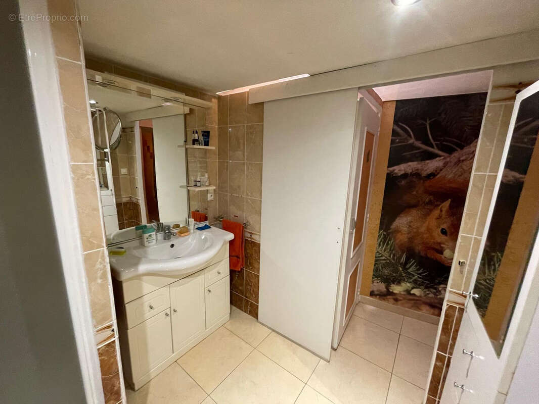 Maison à SAINT-AMANS-SOULT