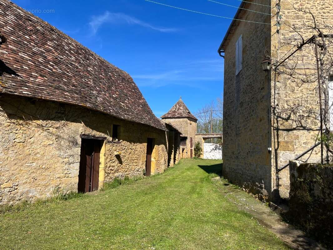 IMG_8387 2.jpeg - Maison à SAINT-AVIT-SENIEUR