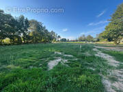 Terrain à LEZOUX